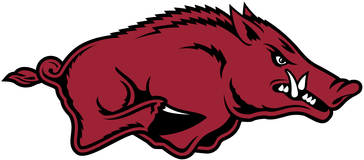 Lady Razorbacks down UALR, to face UAPB – Deltaplex News