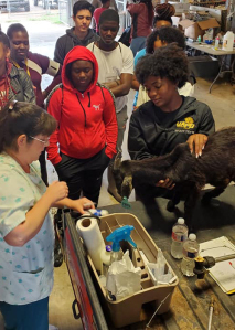 UAPB offering summer veterinary camp for highschool students