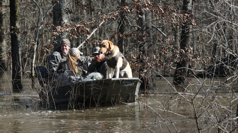 Hunters urged to clean, drain and dry during duck season
