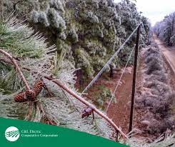 C&L Electric provides update for power outages in several Deltaplex area counties