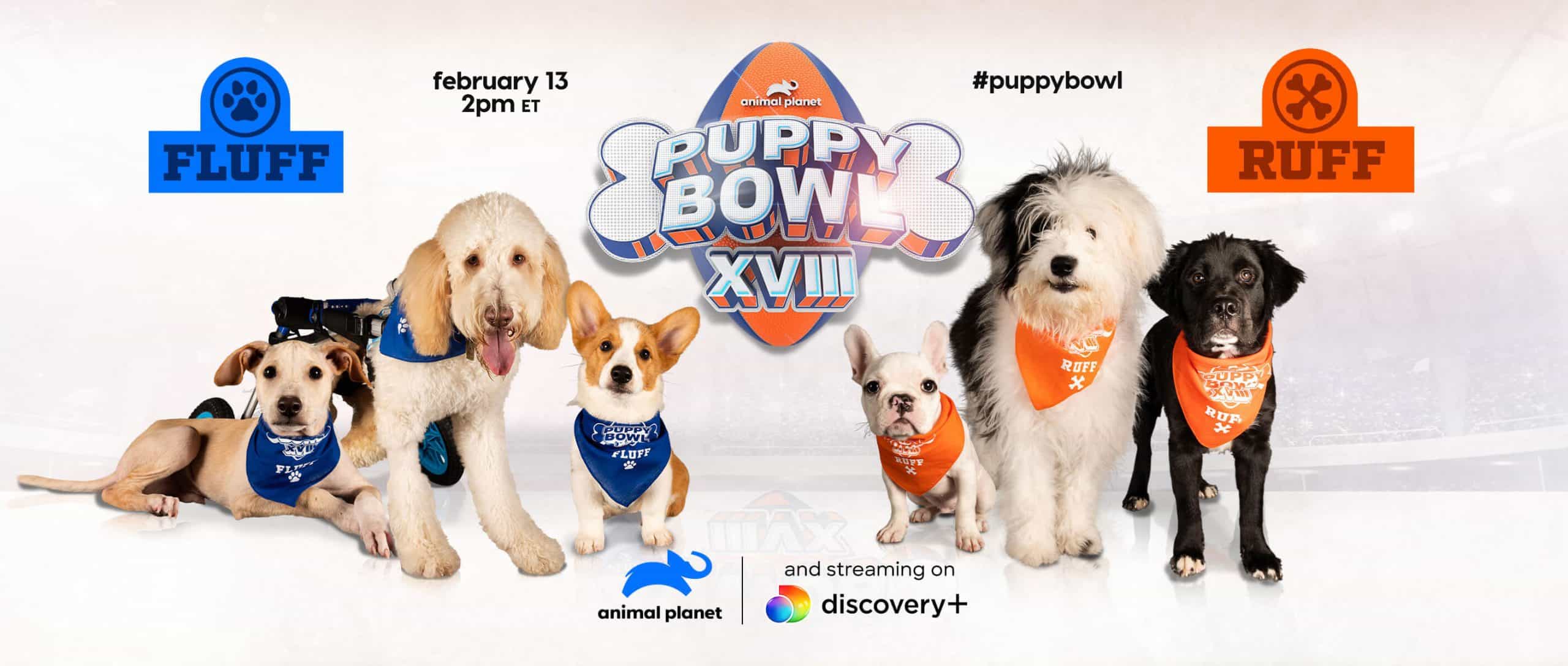 Puppy Bowl to feature puppies from Arkansas