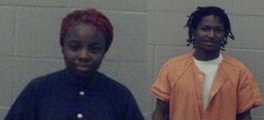 Two Pine Bluff residents are in custody in response to a reported domestic incident