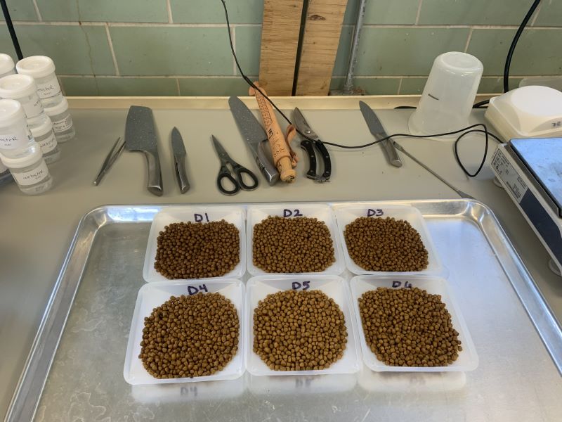 thumbnail_2 – Diets for feeding trial_SNARC 2023[73]