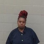 $75k bond set for man charged with terroristic threatening; $5k bond set for woman charged with hindering apprehension