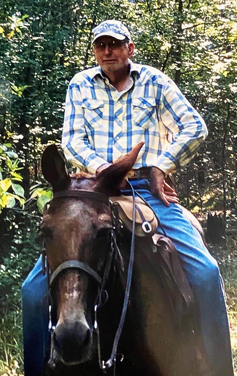 Ira Wayne “Sonny” Bethea, 84